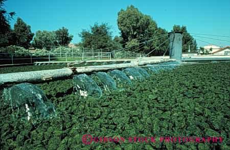 Stock Photo #4210: keywords -  algae clean equipment filter horz industry machine organic plant process public sanitation sewage treatment utility waste water