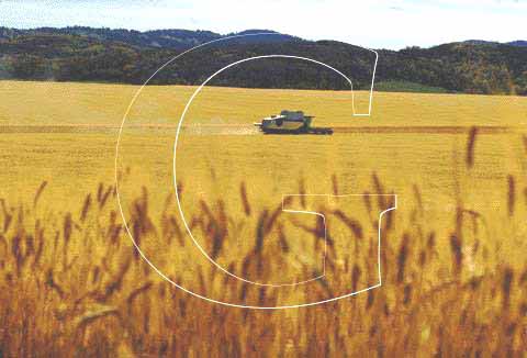 Stock Photo #3317: keywords -  agriculture equipment field food harvest horz idaho machine wheat
