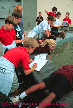 Stock Photo #4299: keywords -  adolescent aquarium beach biology boy boys child children class educate education elementary field fifth girl girls grade group learn long notes school science students study summer together trip vert write young youth