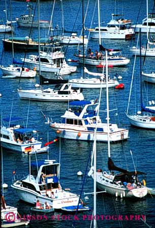 Stock Photo #4353: keywords -  anchor boat boating boats busy catalina clutter cove craft crowd crowded float harbor island marina moor moored port recreation summer together toy vert vessel warm water