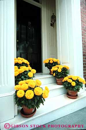 Stock Photo #4381: keywords - architecture custom decorate decoration decorative design door doorway entrance entry flowers front greet home marigold plant plants potted vert