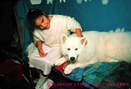Stock Photo #4421: keywords - animal canine clean contest display dog dogs effort friend fun fur girl groom groomed grooming hobby horz manicure perform pet prep preparation show white youth