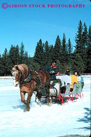 Stock Photo #4424: keywords -  fun holiday horse horses lake passenger pull recreation ride sleigh slide snow tahoe tour vert winter