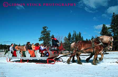 Stock Photo #4426: keywords -  fun holiday horse horses horz lake passenger pull recreation ride sleigh slide snow tahoe tour winter