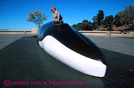 Stock Photo #4549: keywords - animal artificial fake girl horz model released replica replicate scale ship synthetic whale