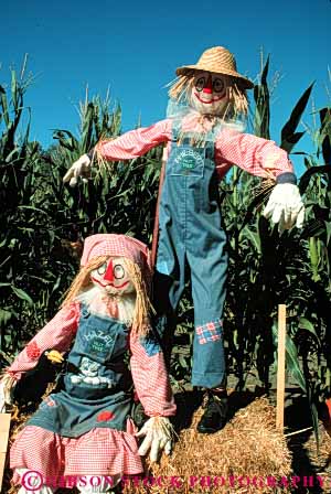 Stock Photo #4568: keywords -  art artificial artistic character corn couple fake farm field hat immitation person scarecrow scarecrows stuffed vert