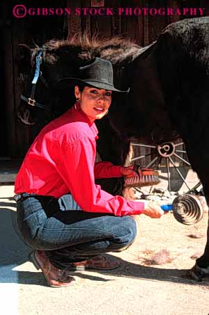 Stock Photo #4587: keywords -  americana career cowgirl folklore groom horse horseman job occupation outdoor outside ranch released southwest style tradition traditional vert vocation west western wrangler