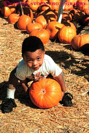 Stock Photo #4634: keywords -  african american autumn black boy child choose country countryside ethnic fall farm find grow halloween harvest holiday minority orange outdoor outside pick produce pumpkin race round season select squash toddler vert vine with