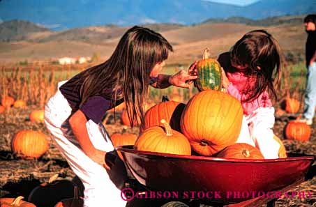 Stock Photo #4636: keywords -  autumn child children choose country countryside examine fall farm find girls grow halloween harvest hold holiday horz look orange outdoor outside pick produce pumpkins released round season see select sister sisters squash study vine