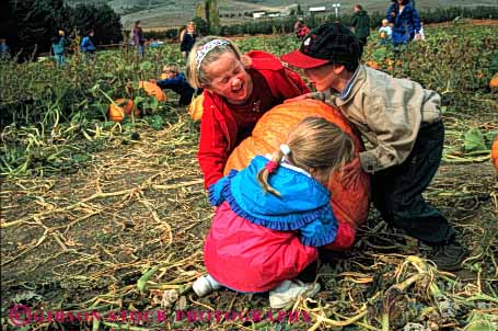 Stock Photo #4637: keywords -  autumn big children choose cooperate cooperating cooperative country countryside effort fall farm find giant grow halloween harvest heavy holiday horz huge large orange outdoor outside pick produce pumpkin push released resistance roll round season select share squash together try vine