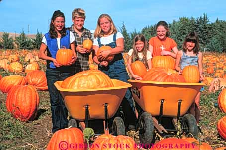 Stock Photo #10931: keywords - autumn boy boys california child children display fall fun gender girl girls group halloween horz mixed mt orange outdoor outside picking play playing present pumpkin pumpkins released shasta show smile together