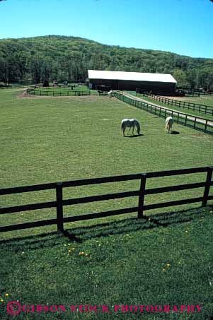 Stock Photo #4885: keywords -  agriculture barn building clean connecticut country countryside farm fence grass green horse horses open pasture ranch range rangeland rural space stable vert white