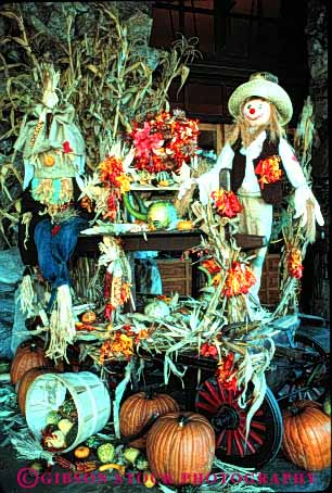 Stock Photo #4955: keywords -  autumn corn crow decorate decoration decorations fall halloween harvest holiday pumpkin scare scarecrow squash stalk straw vert