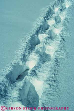 Stock Photo #4969: keywords - alone cold feet foot imprint lost print prints private quiet route season snow solitary step steps trail vert walk walking white wilderness winter