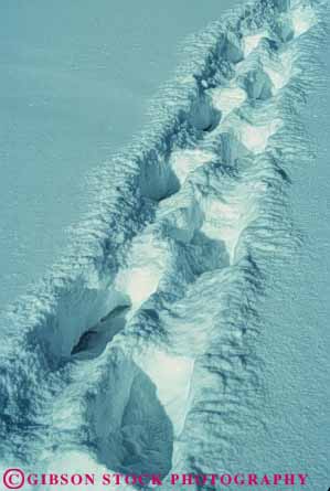 Stock Photo #4969: keywords -  alone cold feet foot imprint lost print prints private quiet route season snow solitary step steps trail vert walk walking white wilderness winter