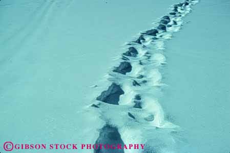 Stock Photo #4971: keywords -  alone feet foot horz imprint lost print prints private quiet route snow solitary step steps trail walk walking wander wilderness winter