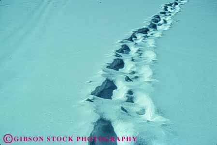 Stock Photo #4971: keywords - alone feet foot horz imprint lost print prints private quiet route snow solitary step steps trail walk walking wander wilderness winter