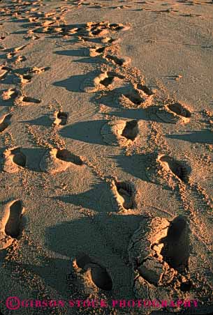 Stock Photo #4972: keywords -  alone array beach feet foot group imprint many multitude print prints private quiet route sand solitary step steps trail vert walk walking wilderness