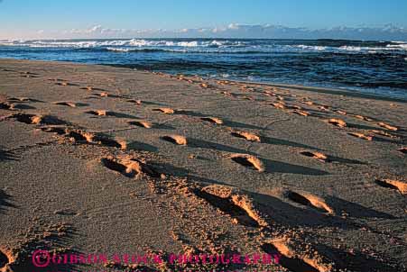 Stock Photo #4974: keywords - alone array beach coast feet foot group hawaii horizon horz imprint many multitude ocean print prints private quiet route sand sea soft solitary step steps surf trail walk walking water wilderness