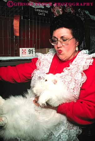 Stock Photo #5004: keywords - affection animal care cat close competing competition display for fur groom love mammal manicure owner pet show special together train vert woman