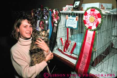 Stock Photo #5005: keywords -  affection animal award awards care cat close competing competition display distinguished for fur girl groom horz love mammal manicure owner pet ribbon show special together train winner
