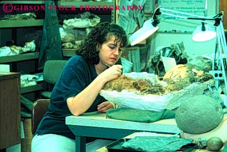 Stock Photo #5054: keywords - career careful clean dinosaur dinosaurs fossil horz job laboratory museum occupation oregon paleontologist paleontology precise research researcher researching science technique tool tricerotops vocation woman work worker
