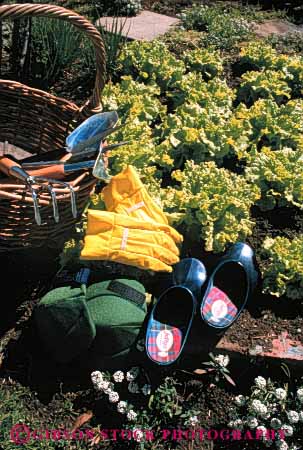 Stock Photo #5057: keywords - cultivate garden gardener gardening grower grown hobby home outdoor outdoors outside plant plants residence residential skill soil summer tools vert womans work