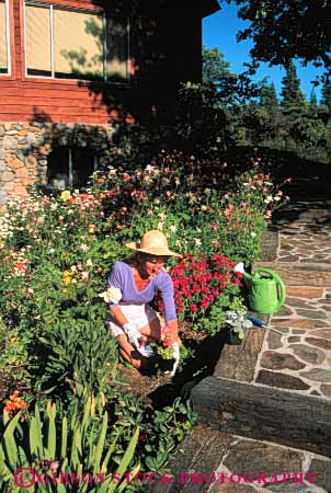Stock Photo #5058: keywords - cultivate garden gardener gardening grower grown hobby home outdoor outdoors outside plant released residence residential skill soil summer vert woman work