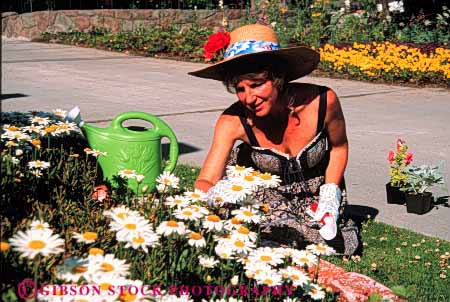 Stock Photo #5059: keywords -  cultivate flower garden gardener gardening grower grown hobby home horz outdoor outdoors outside plant plants released residence residential skill soil summer woman work