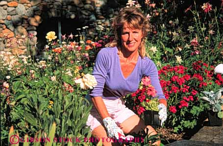 Stock Photo #5060: keywords - cultivate flowers garden gardener gardening grower grown hobby home horz outdoor outdoors outside plant plants released residence residential skill soil summer woman work