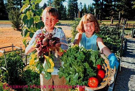 Stock Photo #5070: keywords - boy brother child children cooperate cooperating cooperative cultivate food garden gardener gardening girl grower grown harvest hobby home horz outdoor outdoors outside plant plants released residence residential share sister skill soil summer team together vegetable vegetables work