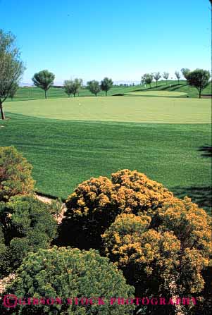 Stock Photo #5073: keywords -  close course cut game golf golfing grass green groom groomed landscape landscaped las lawn manicure manicured resort summerlin trim trimmed vegas vert