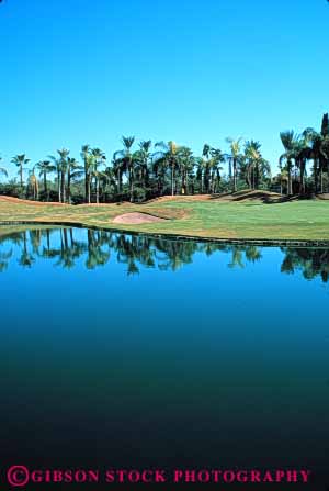 Stock Photo #5074: keywords -  close course cut game golf golfing grass green groom groomed hazard lake landscape landscaped lawn manicure manicured palm phoenician pond reflection resort scottsdale smooth trim trimmed vert water