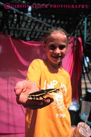 Stock Photo #5120: keywords -  activity annual butterfly child day display earth ecology education environment event exhibit fair festival gathering gentle girl hand hold insect jacksonville learn meeting show together vert wildlife