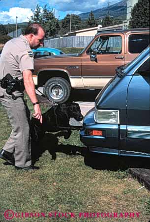 Stock Photo #5346: keywords - acute border car cars conceal concealed contraband controversial controversy detect detecting detection detects dog drug drugs enforcement government hidden illegal law nose officer order policeman pot reefer released smell smelling smells sniff sniffing sniffs substance substances trained vert