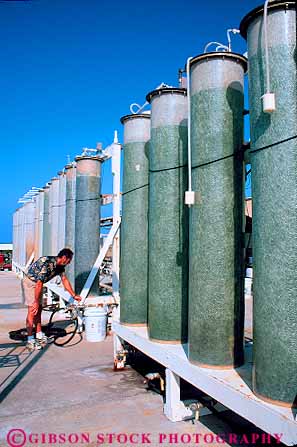 Stock Photo #11414: keywords -  algae aquaculture biologist biology column columns commerce company cultivate cultivating cultivation cyanotech equipment growing hawaii in industry kona lab laboratory life mariculture marine ocean plant plants research researcher science scientific scientist seawater technician technology vert